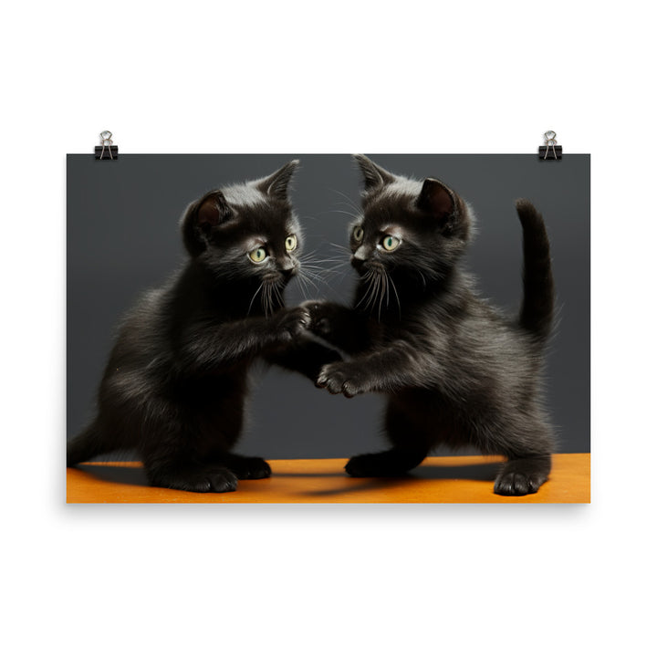 Bombay Photo paper poster - PosterfyAI.com