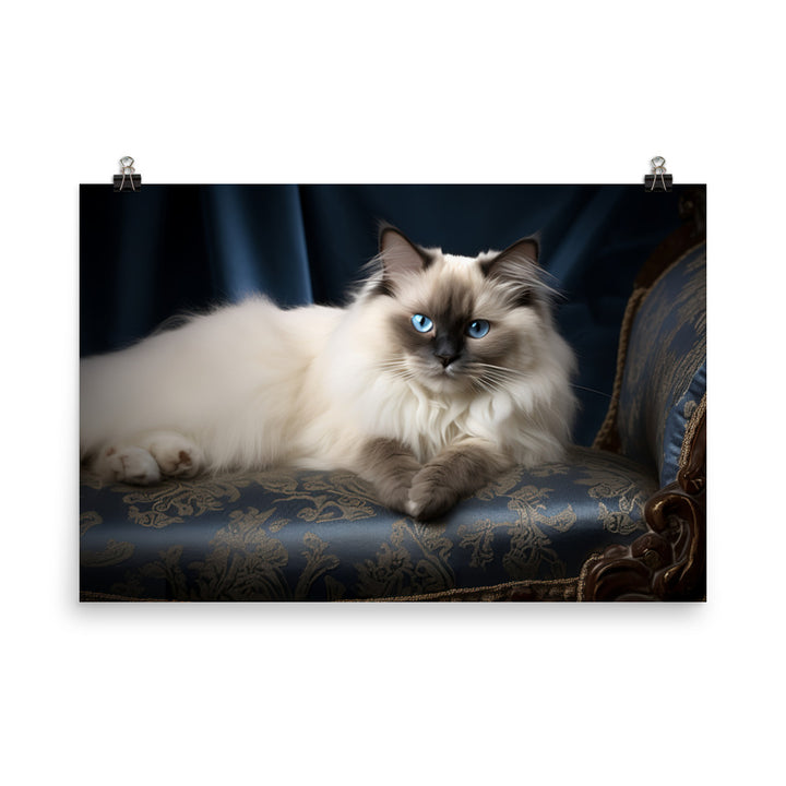 Birman Photo paper poster - PosterfyAI.com