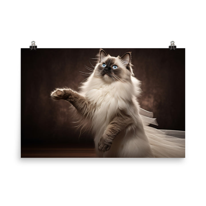 Birman Photo paper poster - PosterfyAI.com