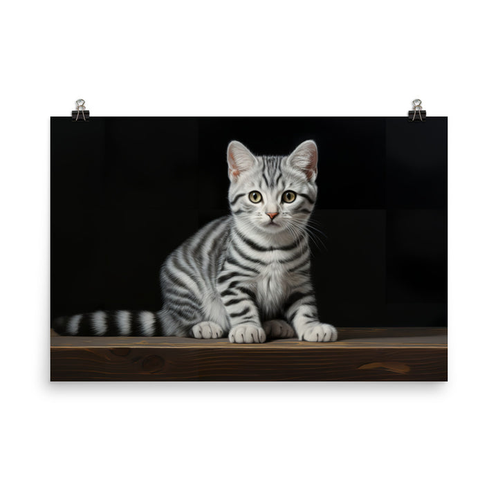 American Shorthair Photo paper poster - PosterfyAI.com