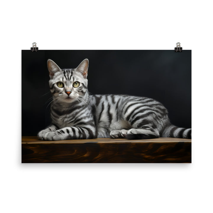 American Shorthair Photo paper poster - PosterfyAI.com