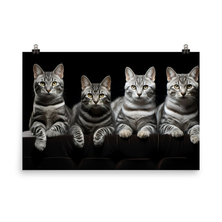 American Shorthair Photo paper poster - PosterfyAI.com