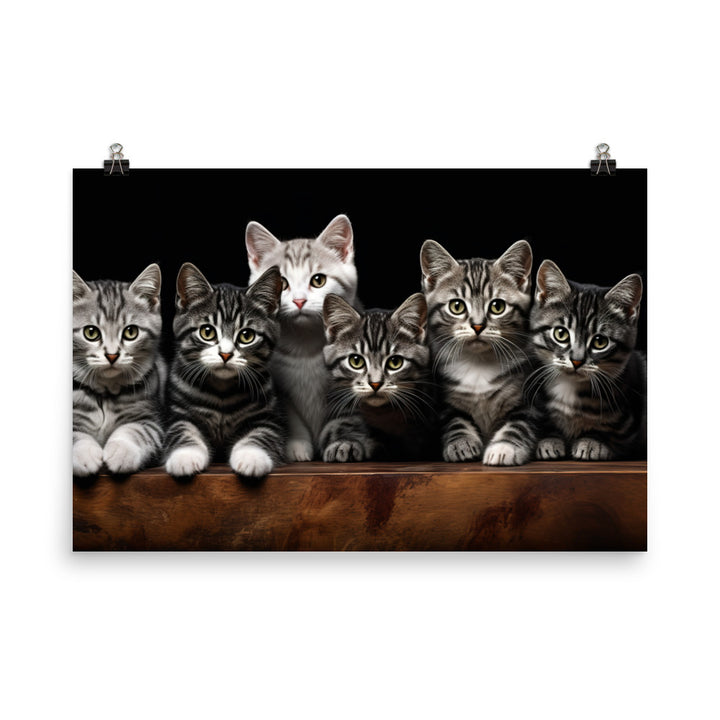 American Shorthair Photo paper poster - PosterfyAI.com
