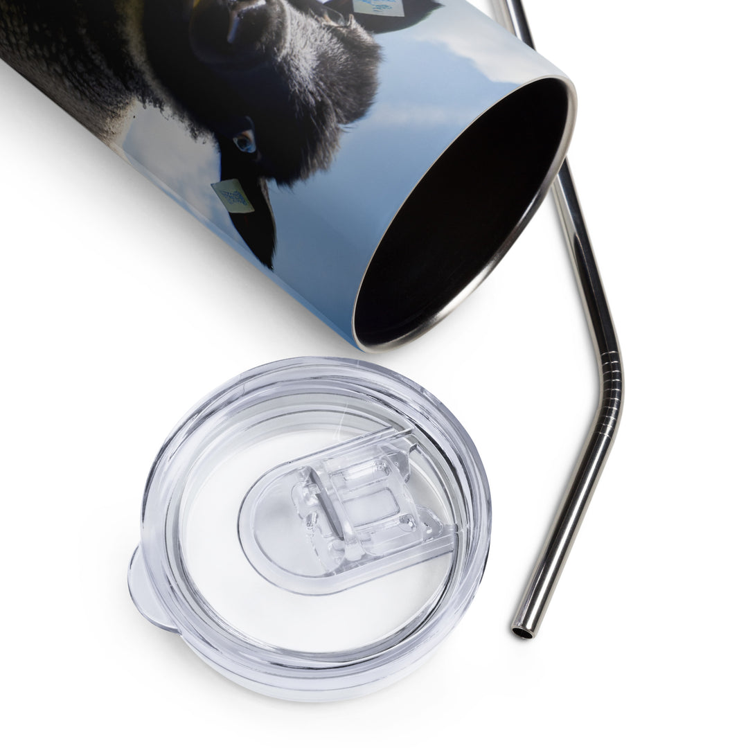 Suffolk Sheep Lambs Tumbler