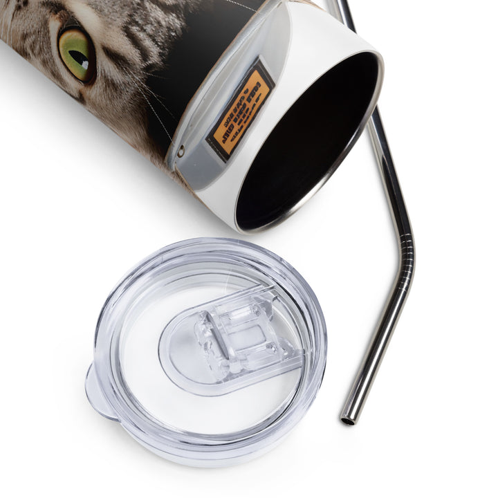 American Shorthair Tumbler