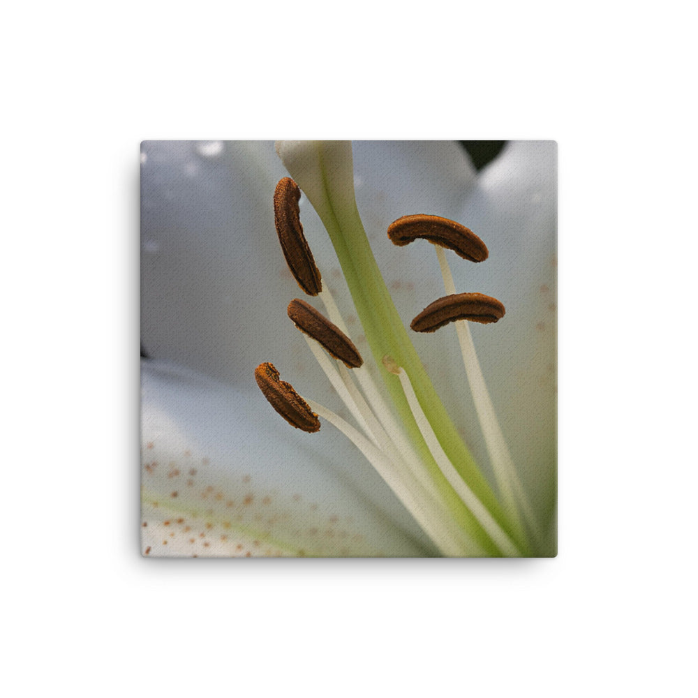 White Lily Close-Up canvas - Posterfy.AI