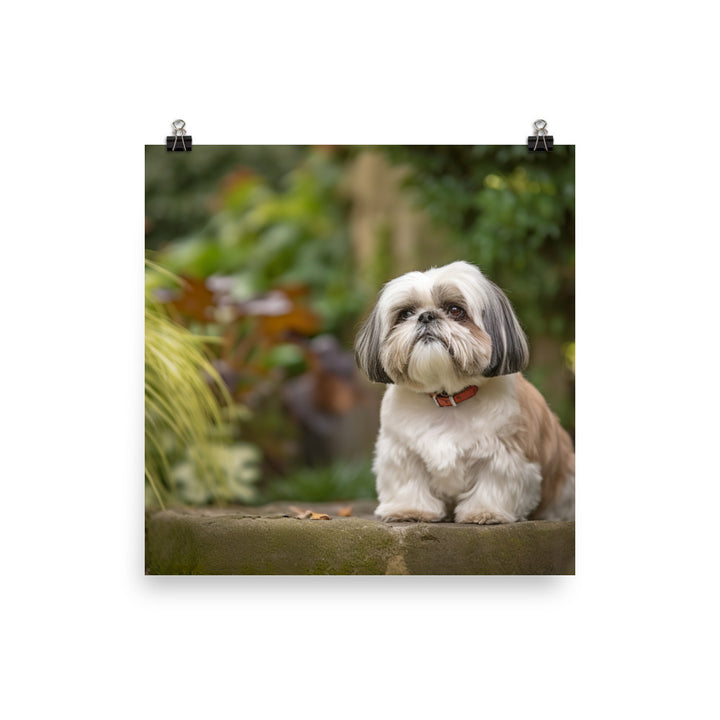 Regal Shih Tzu Posing in the Garden photo paper poster - Posterfy.AI