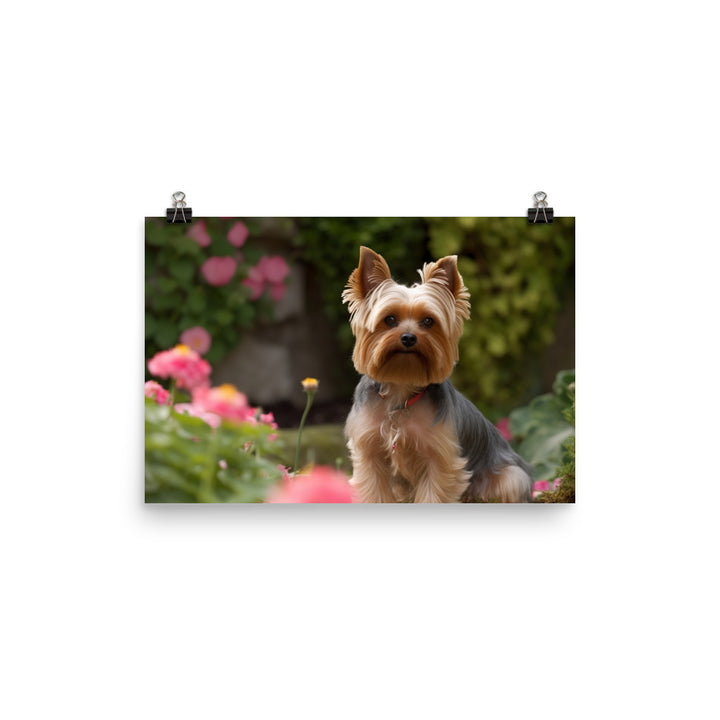 Yorkshire Terrier in the Garden photo paper poster - Posterfy.AI