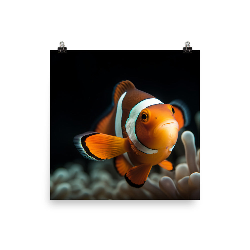 Graceful Clownfish in Natural Habitat Photo paper poster - Posterfy.AI
