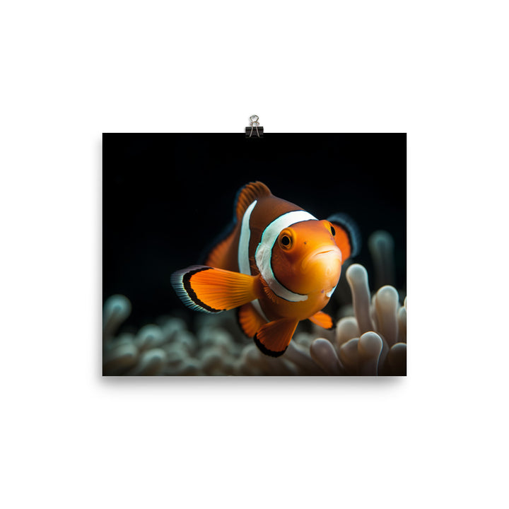 Graceful Clownfish in Natural Habitat Photo paper poster - Posterfy.AI