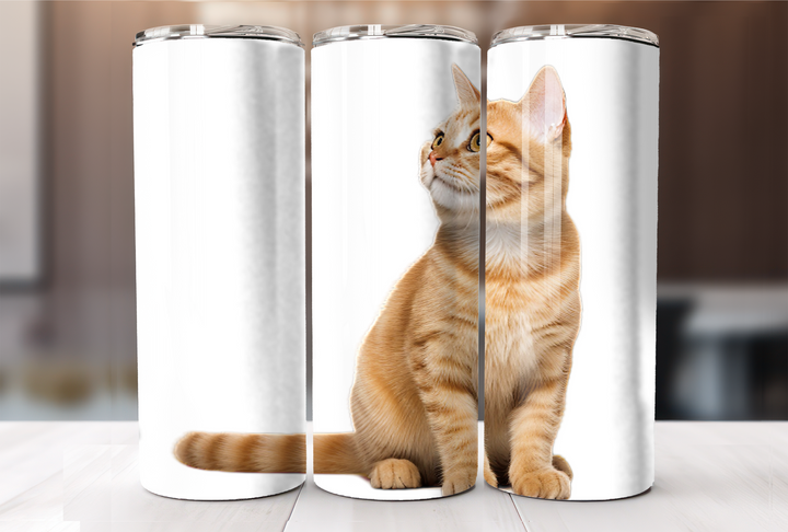 Manx Tumbler