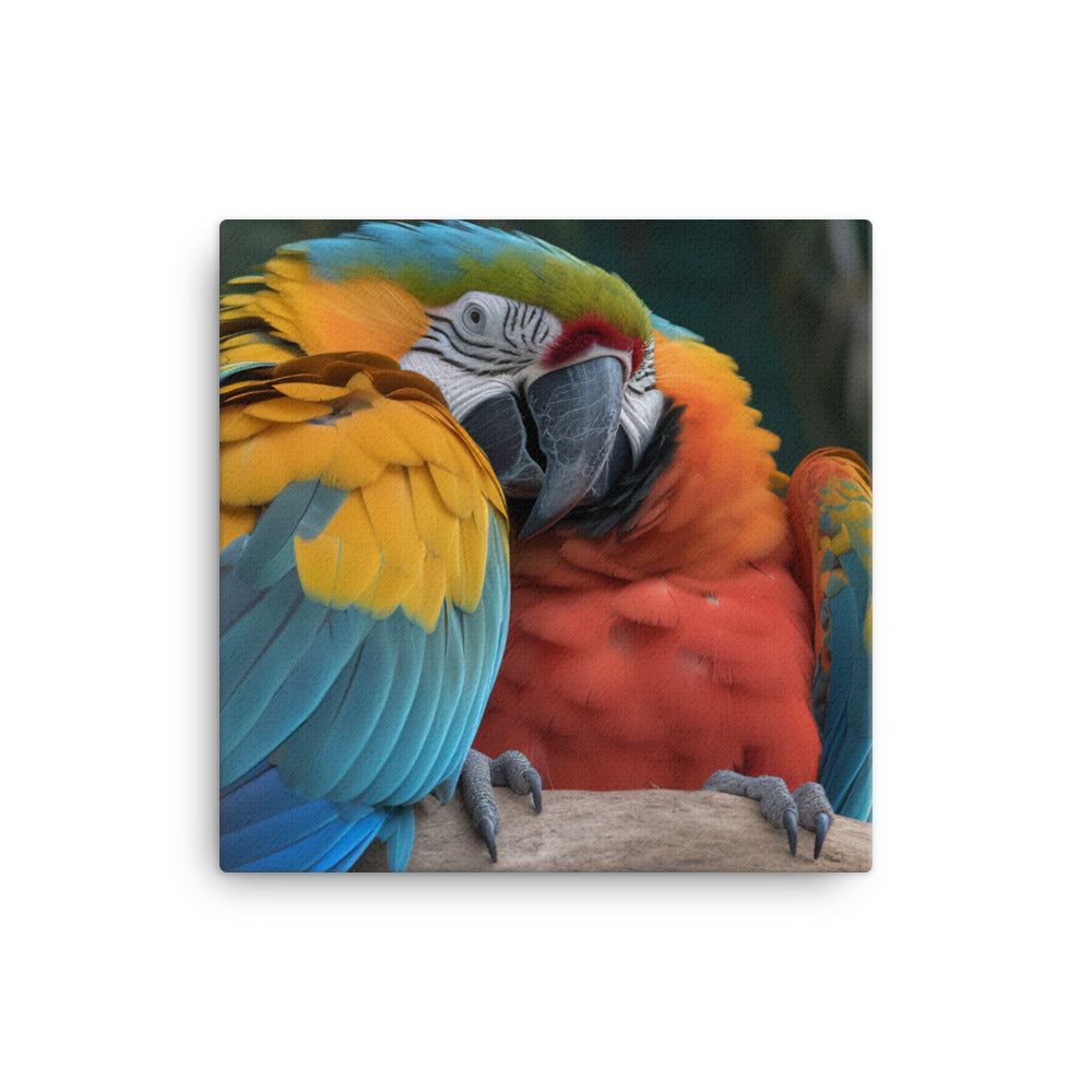 Two Macaws cuddling on a tree branch canvas - Posterfy.AI
