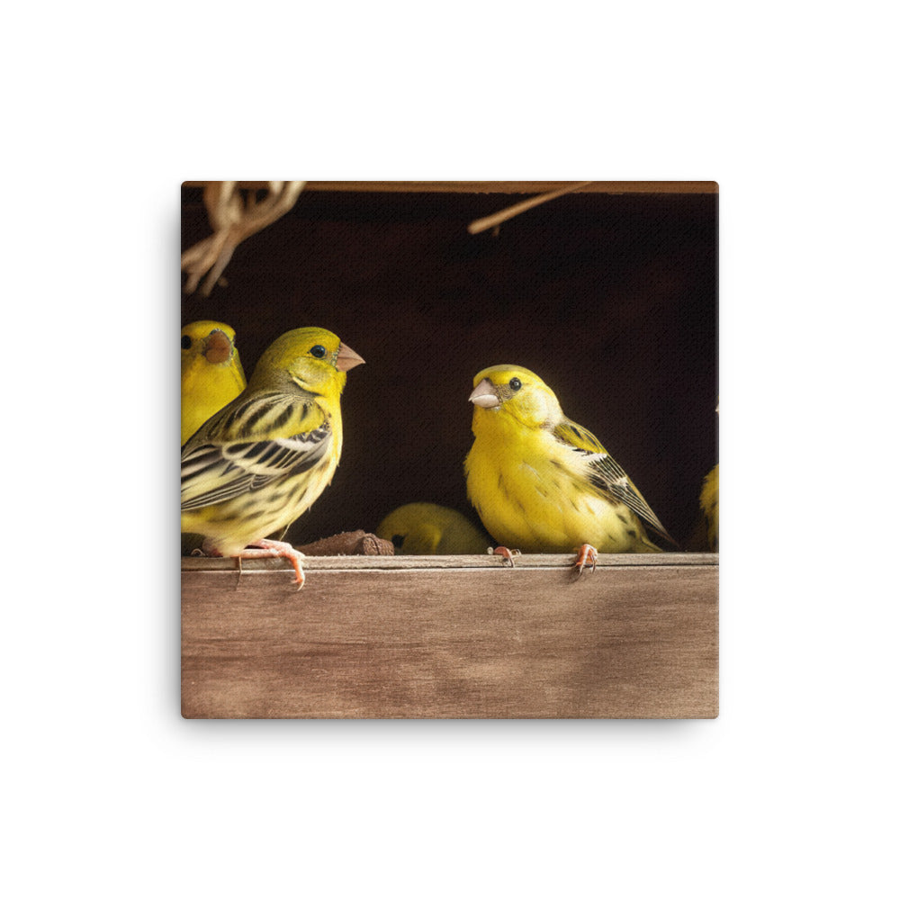 Singing canaries in a birdhouse canvas - Posterfy.AI