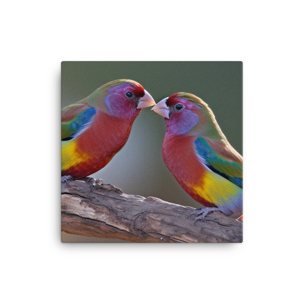Rainbow Finches in the Wild canvas - Posterfy.AI