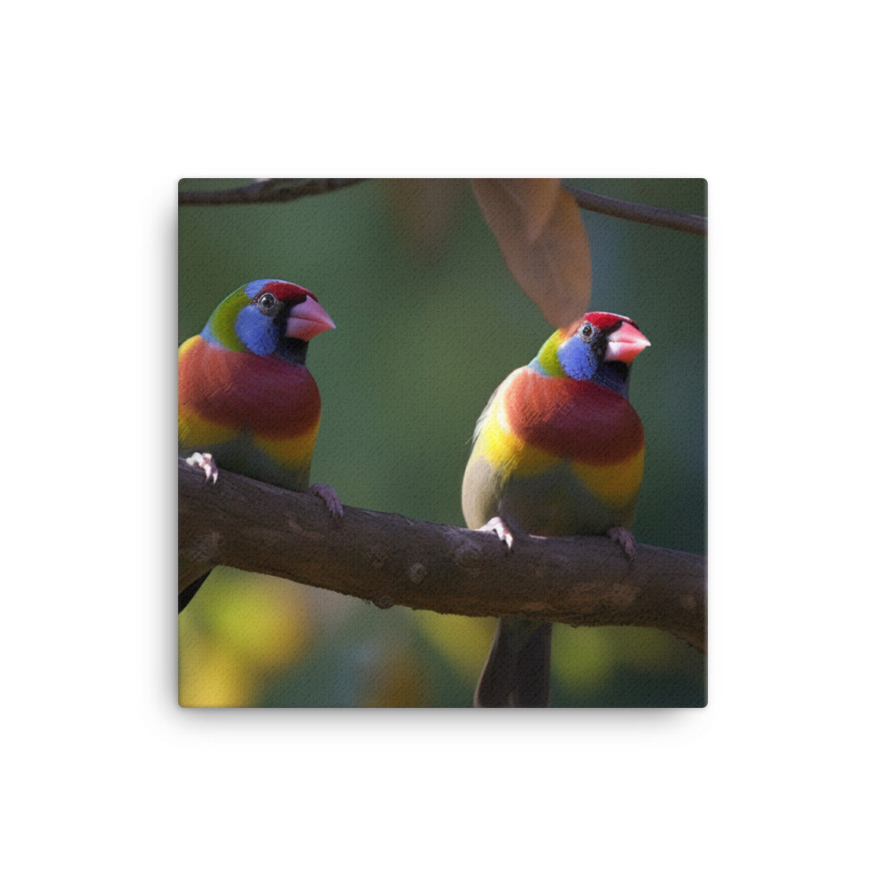 Rainbow Finches in the Wild canvas - Posterfy.AI