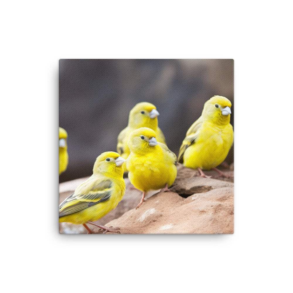 Canaries in a natural habitat canvas - Posterfy.AI