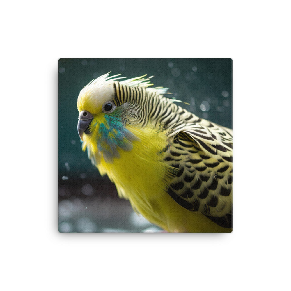 Budgie Taking a Bath canvas - Posterfy.AI