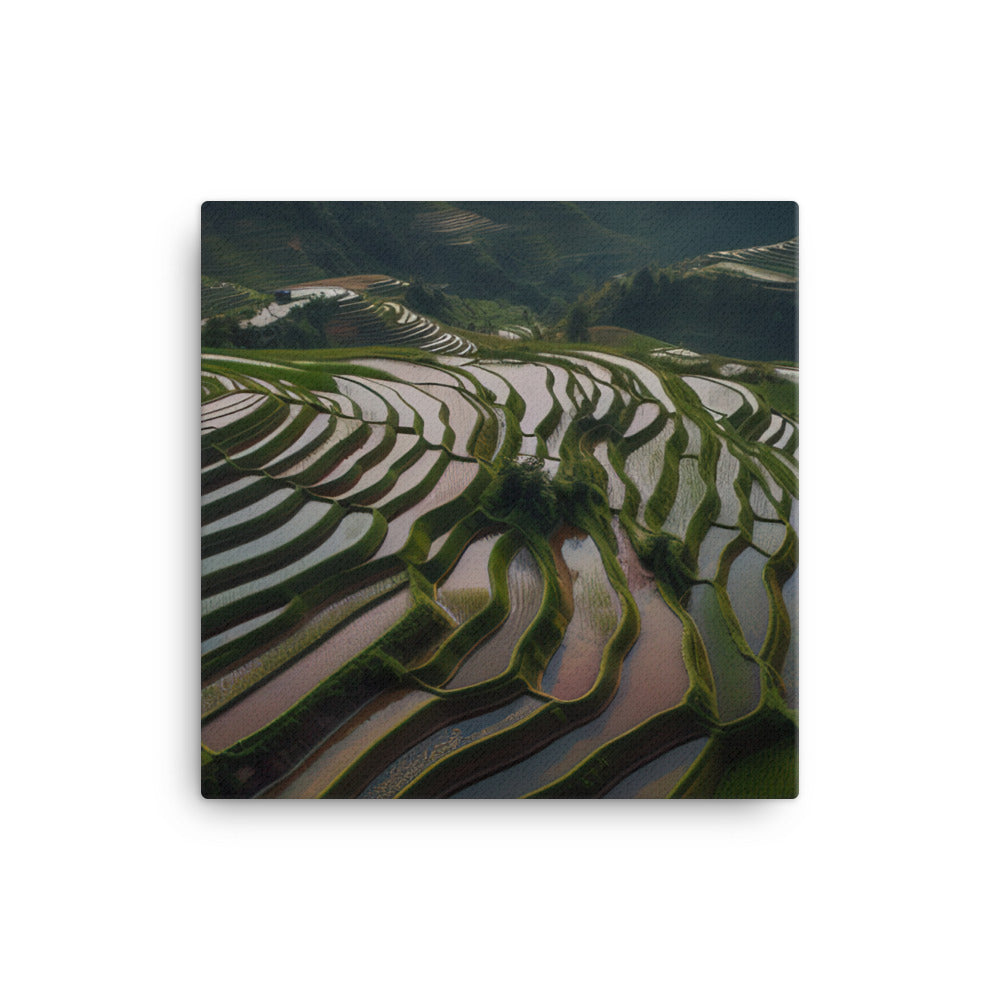 Guilin Rice Terraces from Above canvas - Posterfy.AI