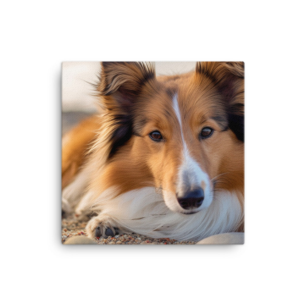 Shetland Sheepdog Relaxing on the Beach canvas - Posterfy.AI