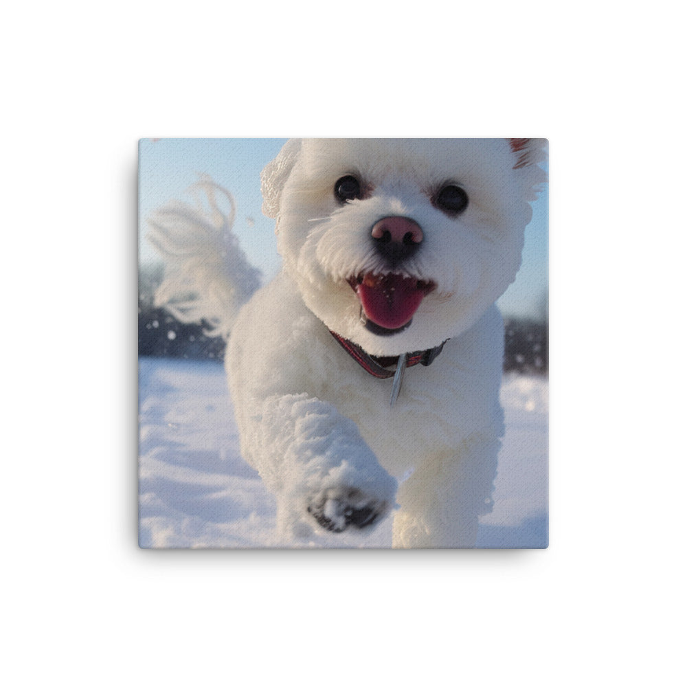 Bichon Frise in the Snow canvas - Posterfy.AI