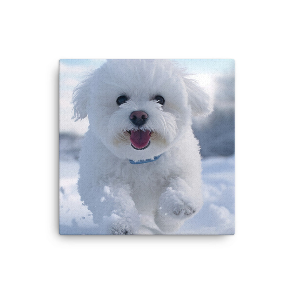 Bichon Frise in the Snow canvas - Posterfy.AI