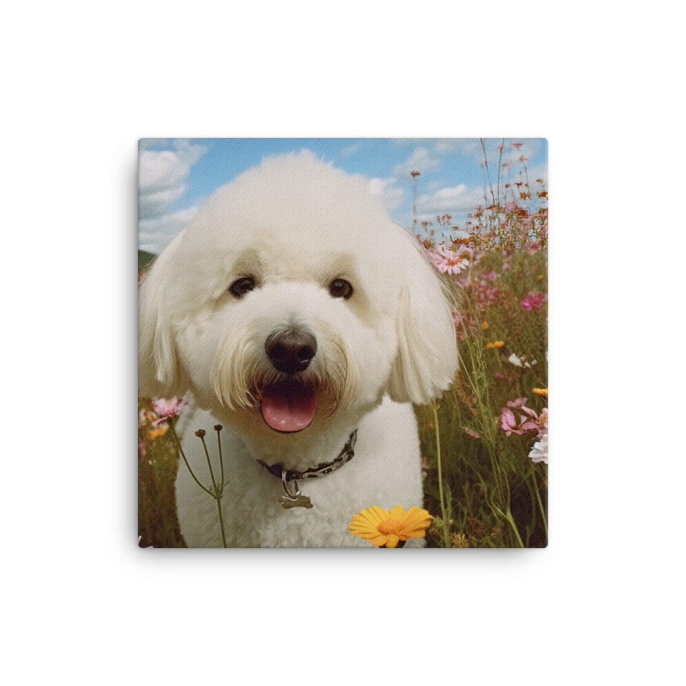 Bichon Frise in a Field of Flowers canvas - Posterfy.AI