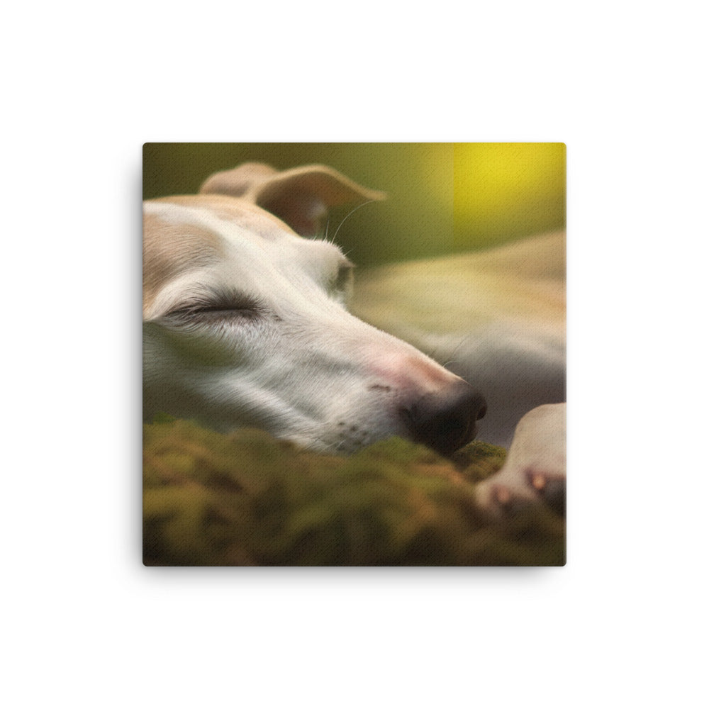 Whippet Beauty Sleep canvas - Posterfy.AI