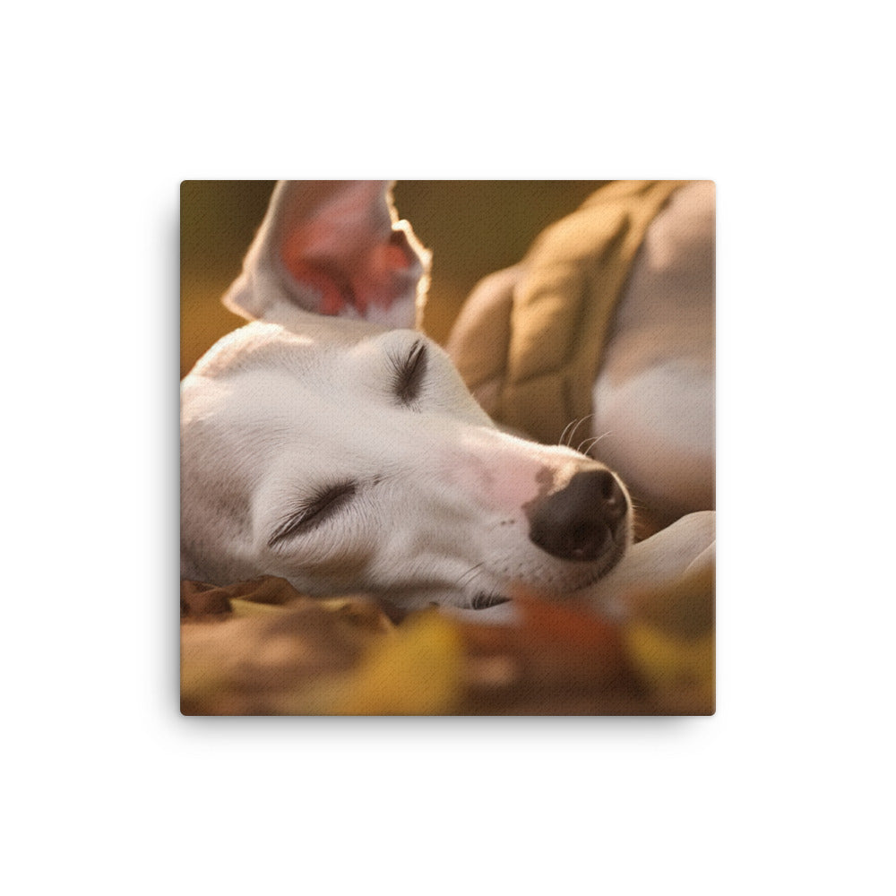 Whippet Beauty Sleep canvas - Posterfy.AI