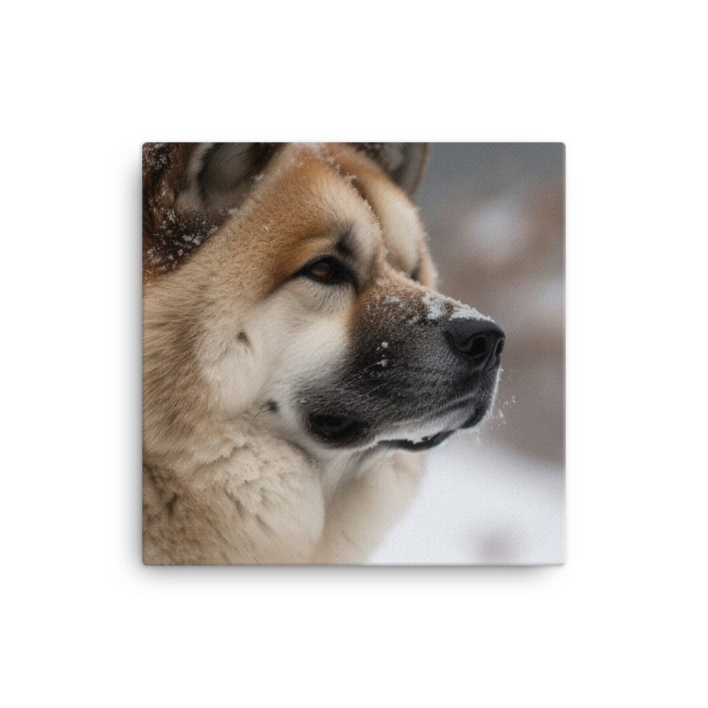 Akita in the Snow canvas - Posterfy.AI