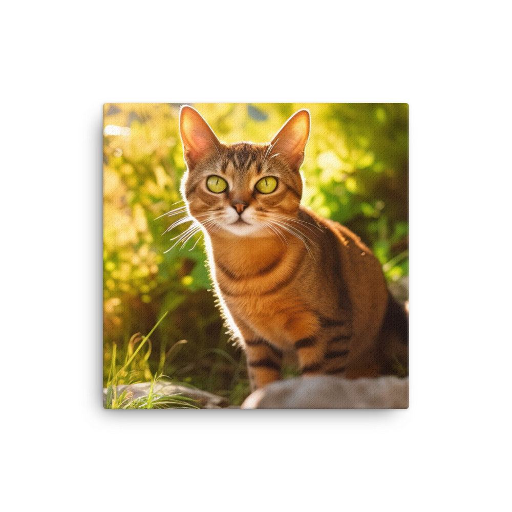 Abyssinian Cat Exploring canvas - Posterfy.AI