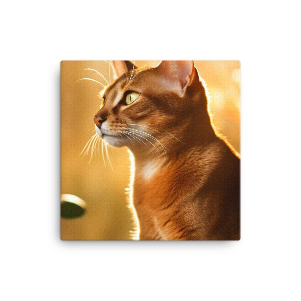 Abyssinian Cat Basking canvas - Posterfy.AI