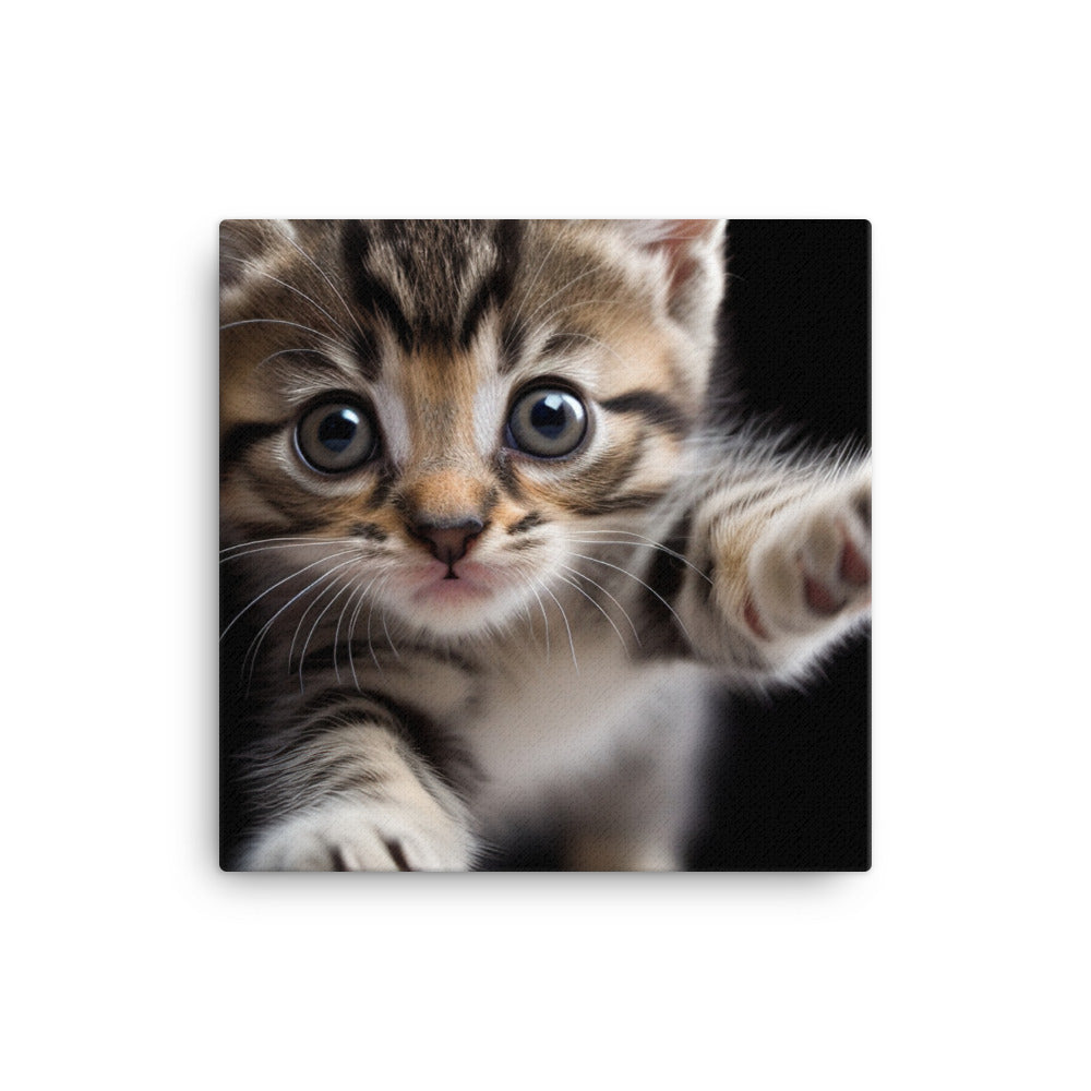 American Shorthair Kitten canvas - Posterfy.AI