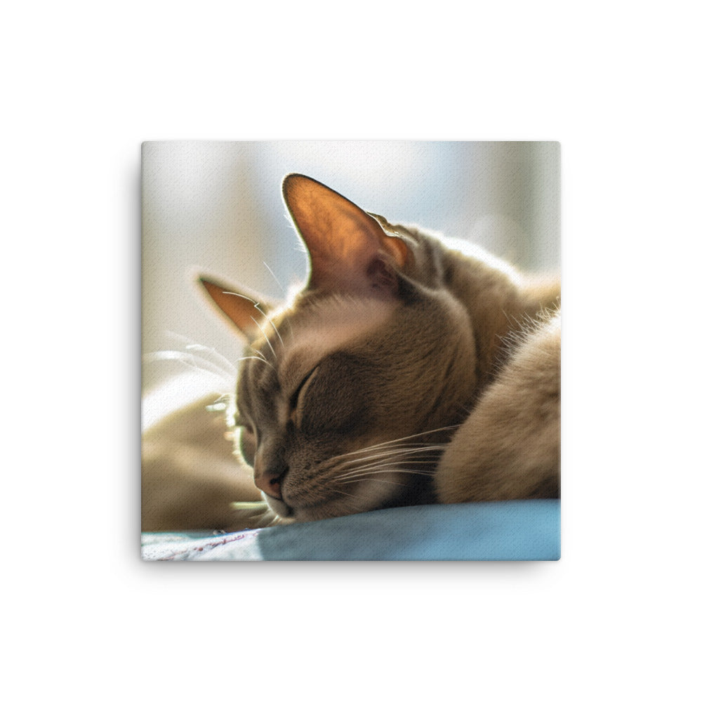 Burmese in Repose canvas - Posterfy.AI
