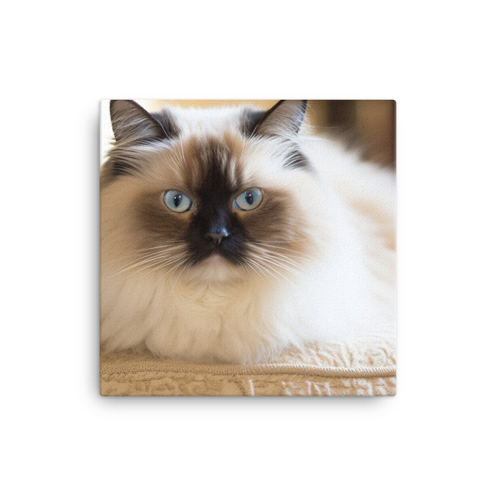 Himalayan Cats Regal Stare canvas - Posterfy.AI