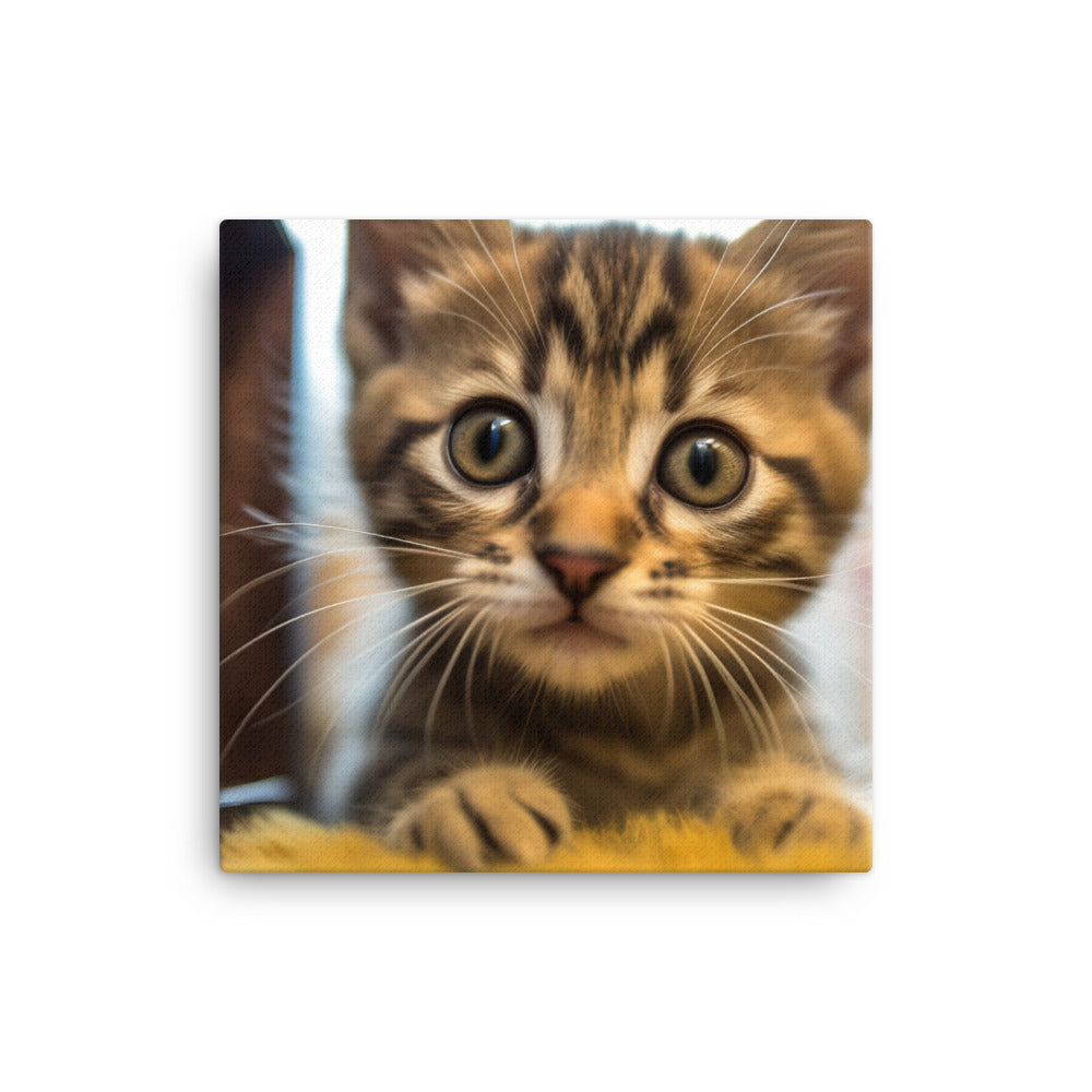 Inquisitive Manx Kitten canvas - Posterfy.AI