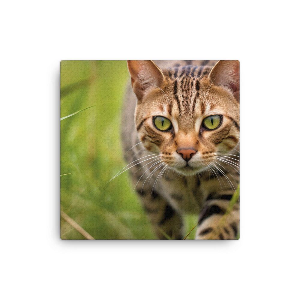 Ocicat on the Prowl canvas - Posterfy.AI