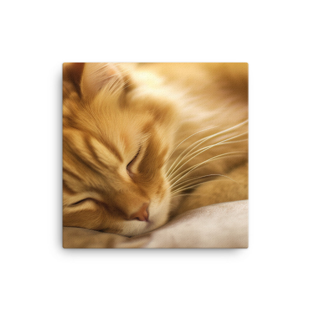 Somali Cat Napping canvas - Posterfy.AI