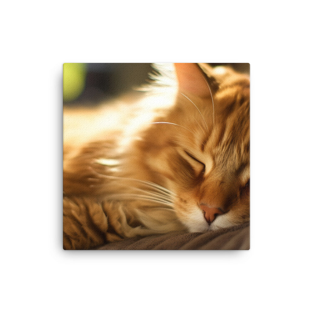 Somali Cat Napping canvas - Posterfy.AI