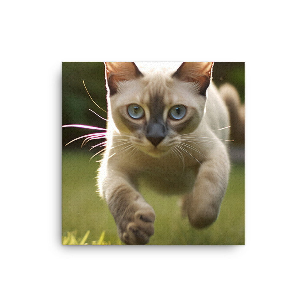 Tonkinese in Motion canvas - Posterfy.AI