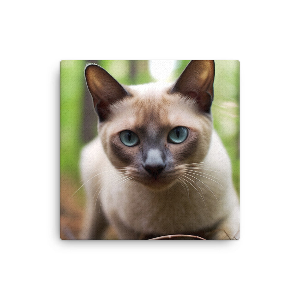 Life of a Tonkinese canvas - Posterfy.AI