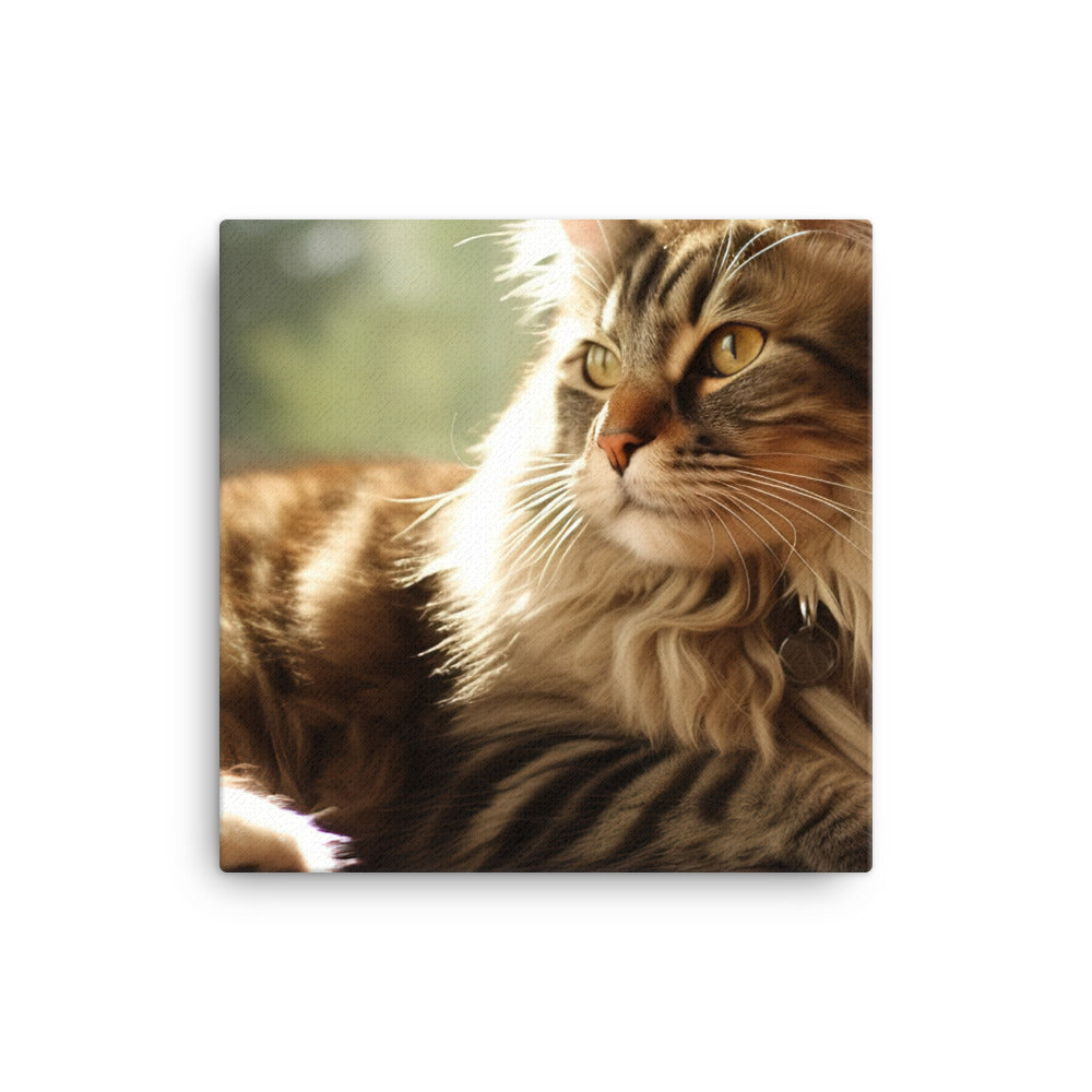 Magnificent Maine Coon canvas - Posterfy.AI