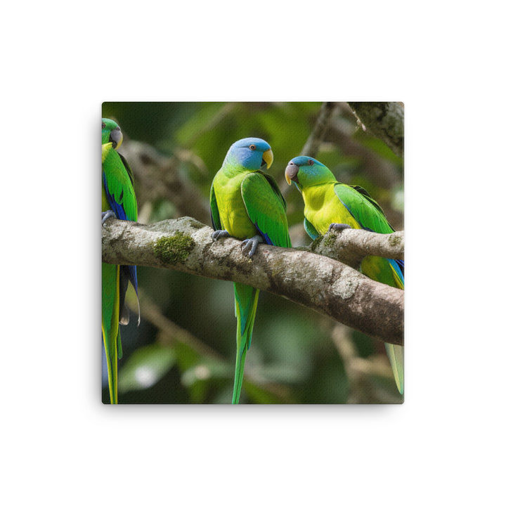 Rainbow Parakeets canvas - Posterfy.AI