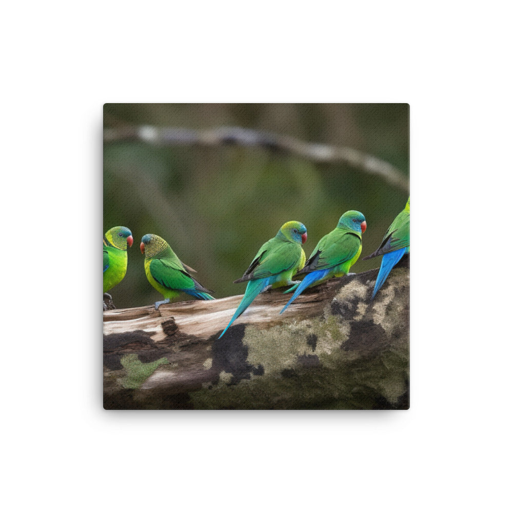 Rainbow Parakeets canvas - Posterfy.AI