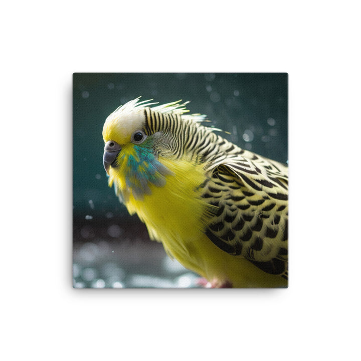 Budgie Taking a Bath canvas - Posterfy.AI