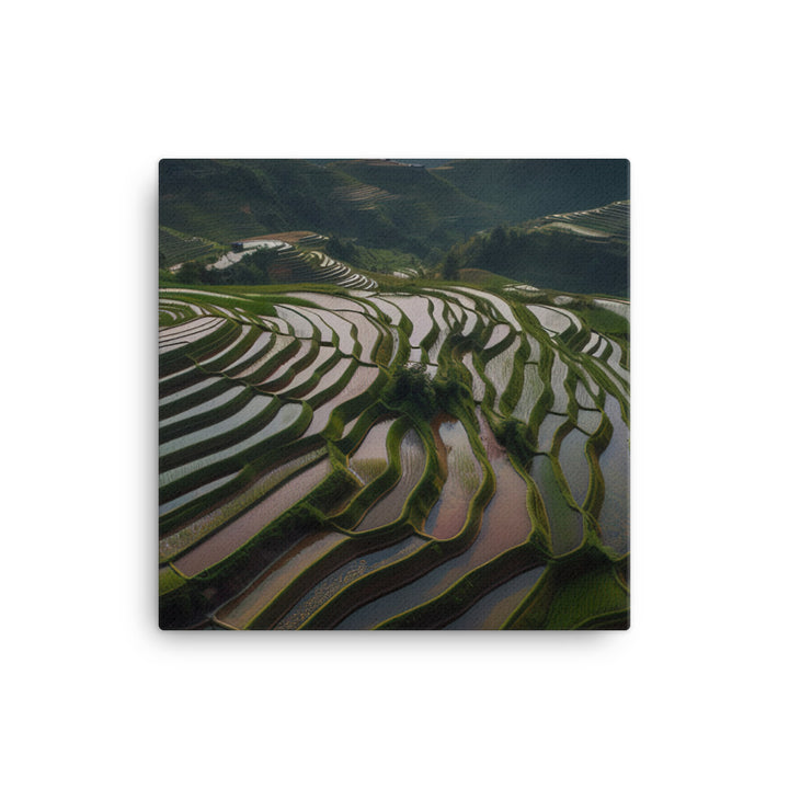 Guilin Rice Terraces from Above canvas - Posterfy.AI