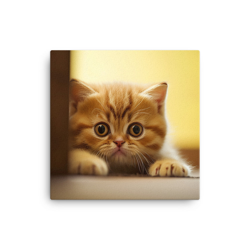 Exotic Shorthair Kitten Canvas - PosterfyAI.com