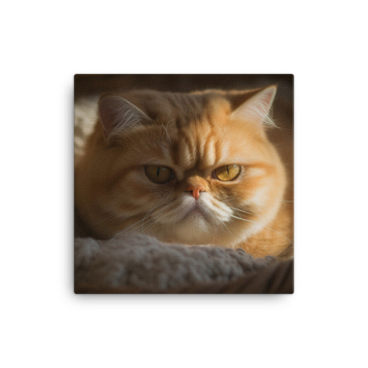 Exotic Shorthair Cat Canvas - PosterfyAI.com