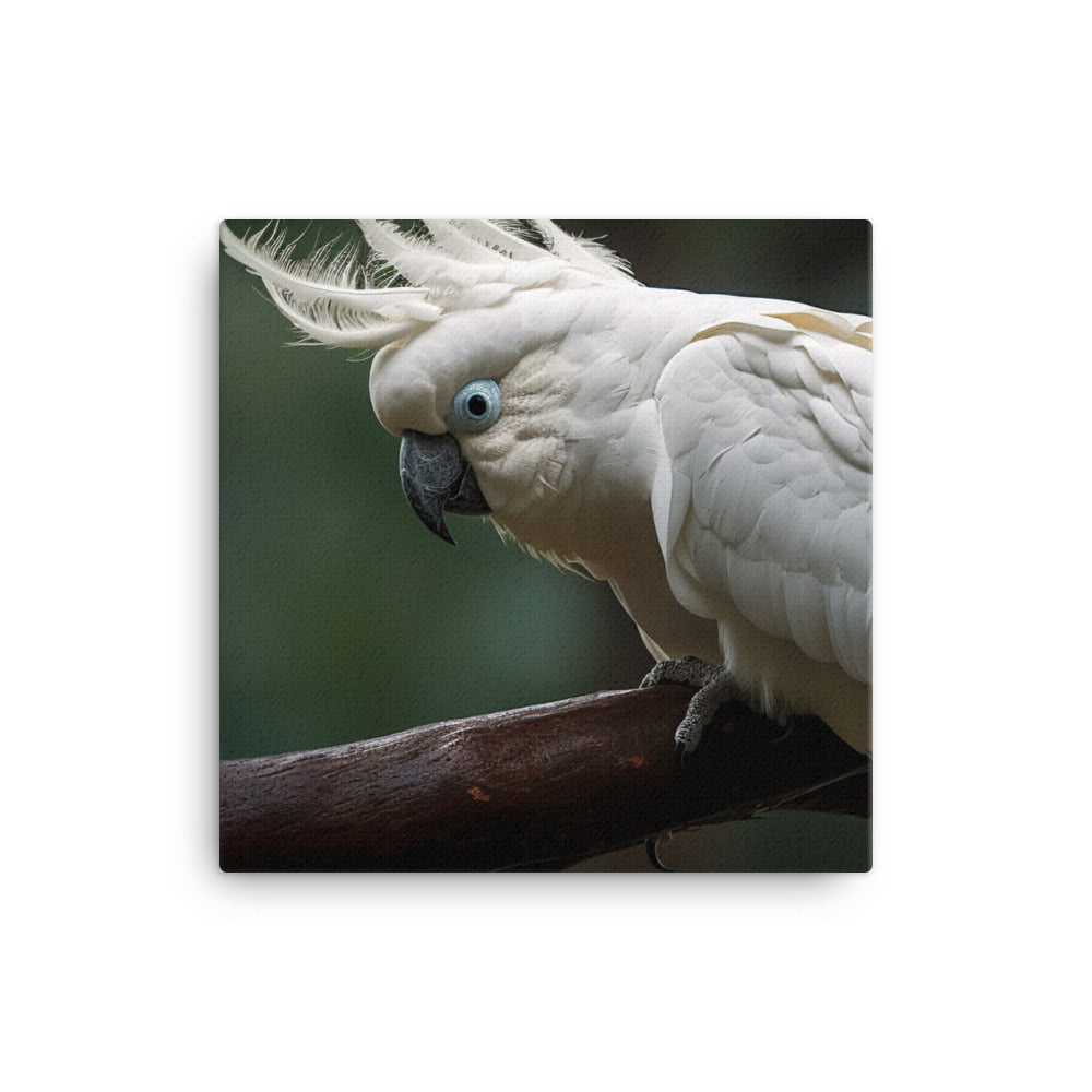 Umbrella Cockatoo Canvas - PosterfyAI.com