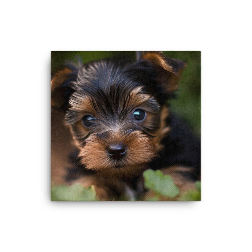 Yorkshire Terrier Pup Canvas - PosterfyAI.com