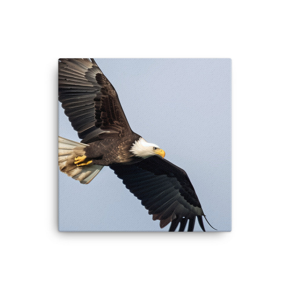 Majestic Bald Eagle Soaring in the Sky Canvas - PosterfyAI.com